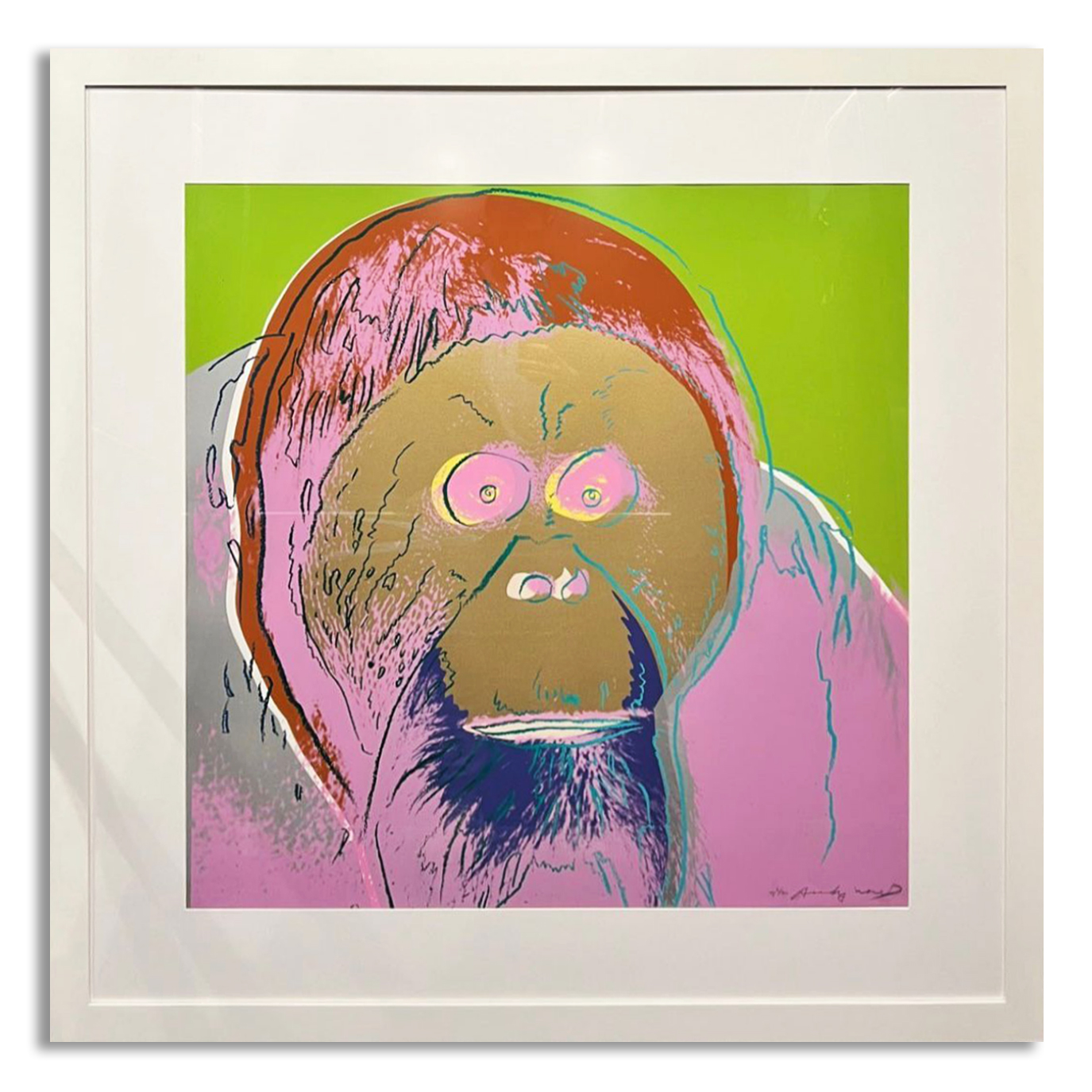 A framed screenprint of an orangutan on a lime green ground
